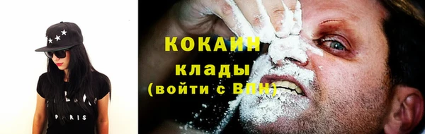 молекула духа Лиски