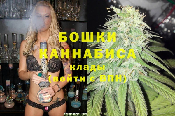 молекула духа Лиски